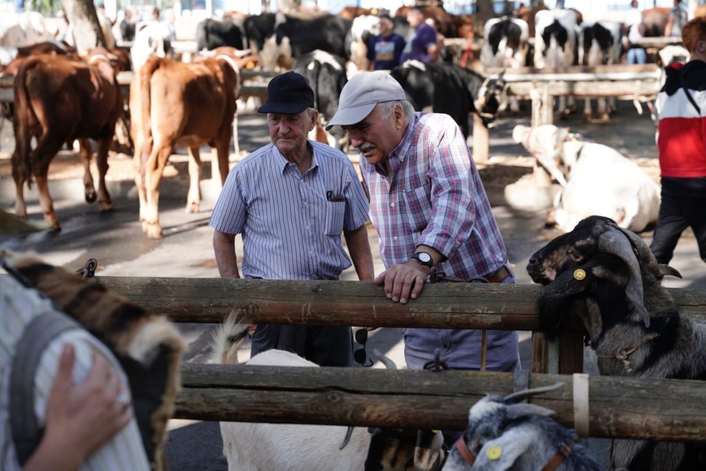 Ganaderos observan animales en el recinto ferial