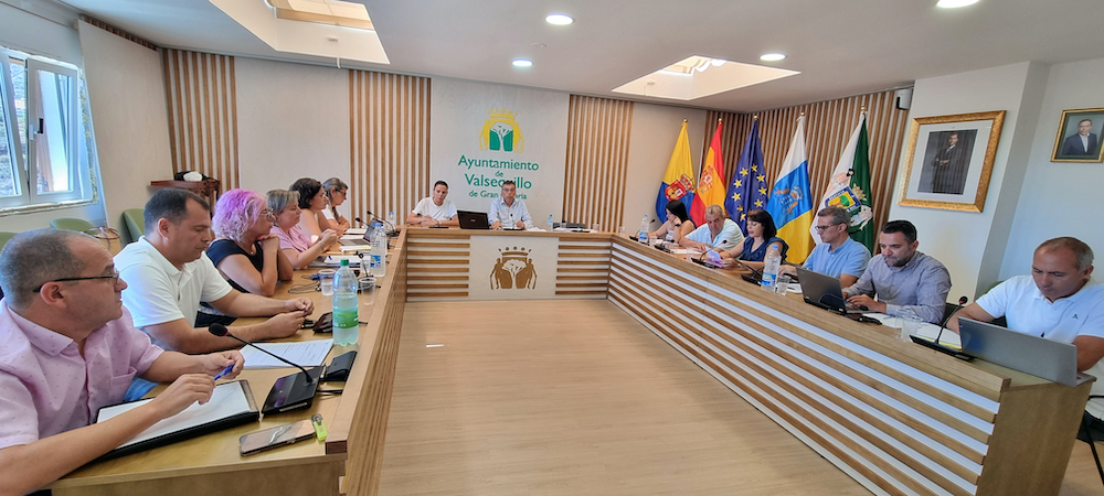 Pleno ordinario celebrado el 30 de julio de 2024