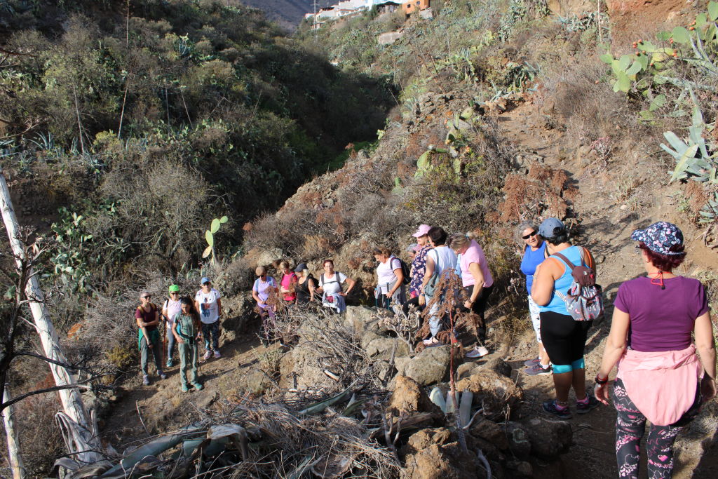 Las asistentes a la ruta descienden por un sendero